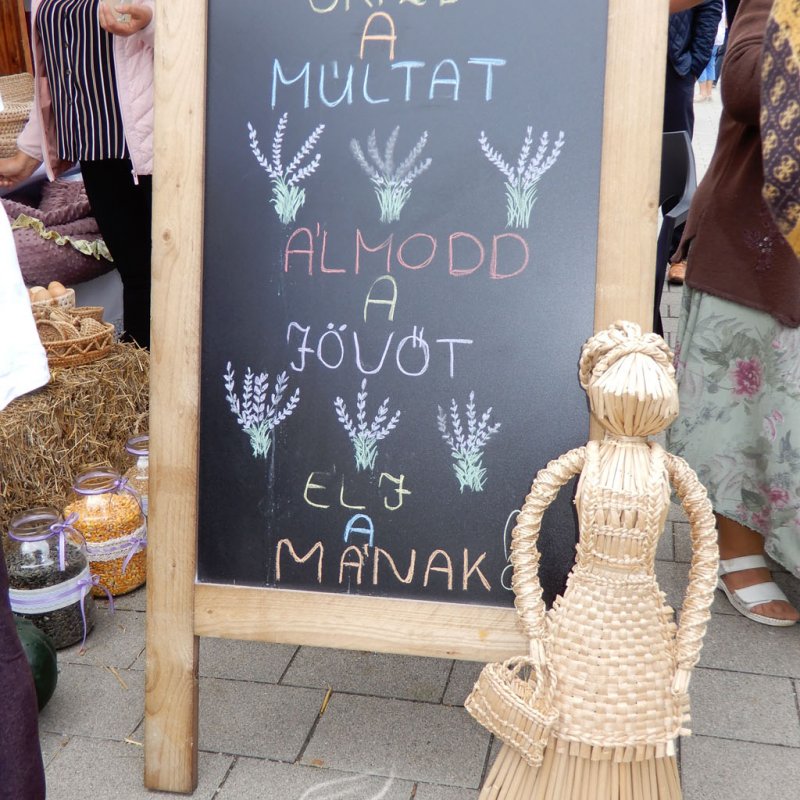 Helyi Értékek Startja 46